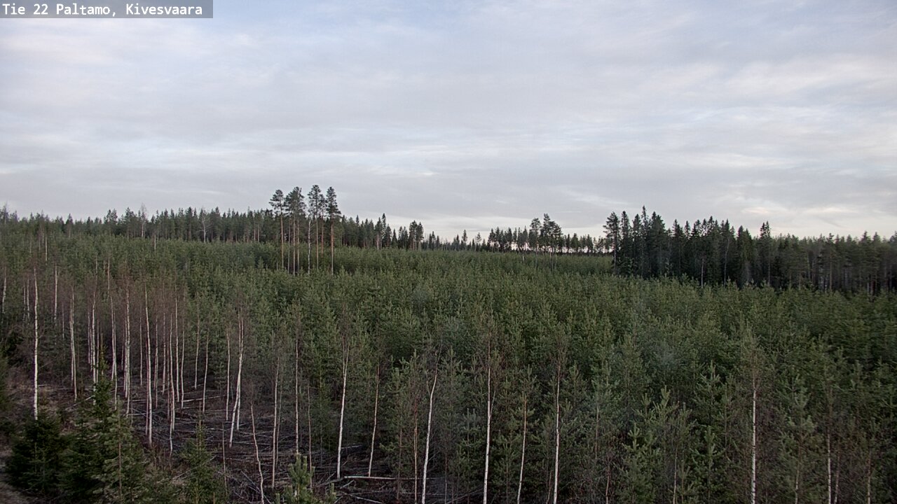 Weather Camera Image Road 22 Paltamo, Kivesvaara, Paltamo, Kainuu