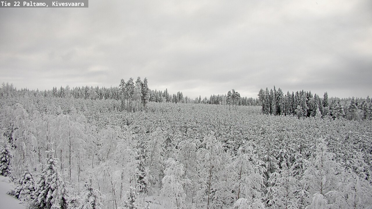 Weather Camera Image Road 22 Paltamo, Kivesvaara, Paltamo, Kainuu