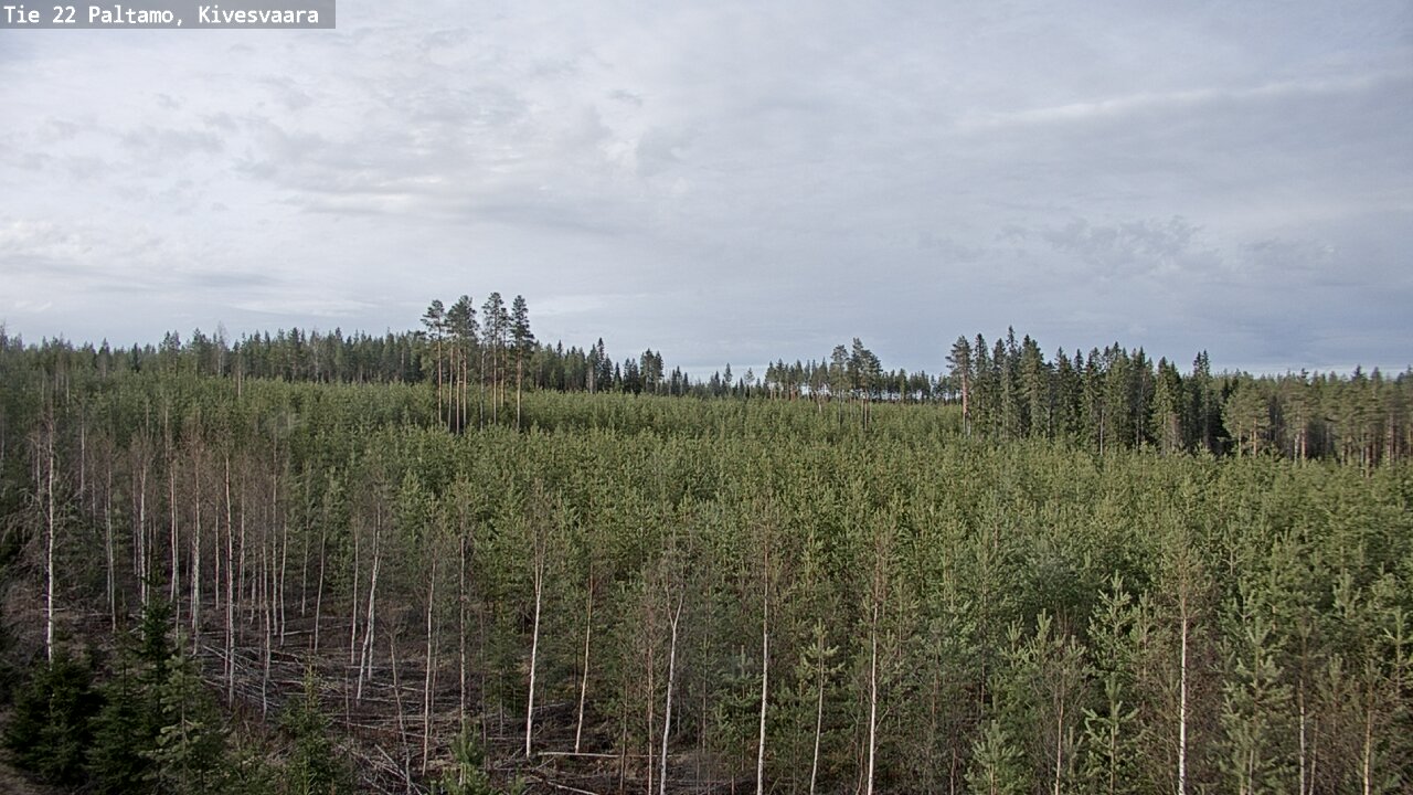 Weather Camera Image Road 22 Paltamo, Kivesvaara, Paltamo, Kainuu