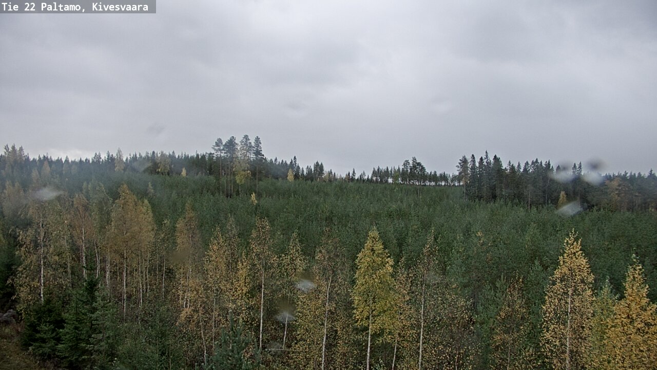 Weather Camera Image Road 22 Paltamo, Kivesvaara, Paltamo, Kainuu