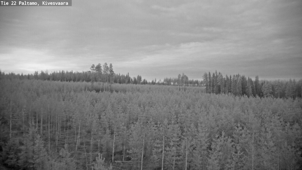 Weather Camera Image Road 22 Paltamo, Kivesvaara, Paltamo, Kainuu