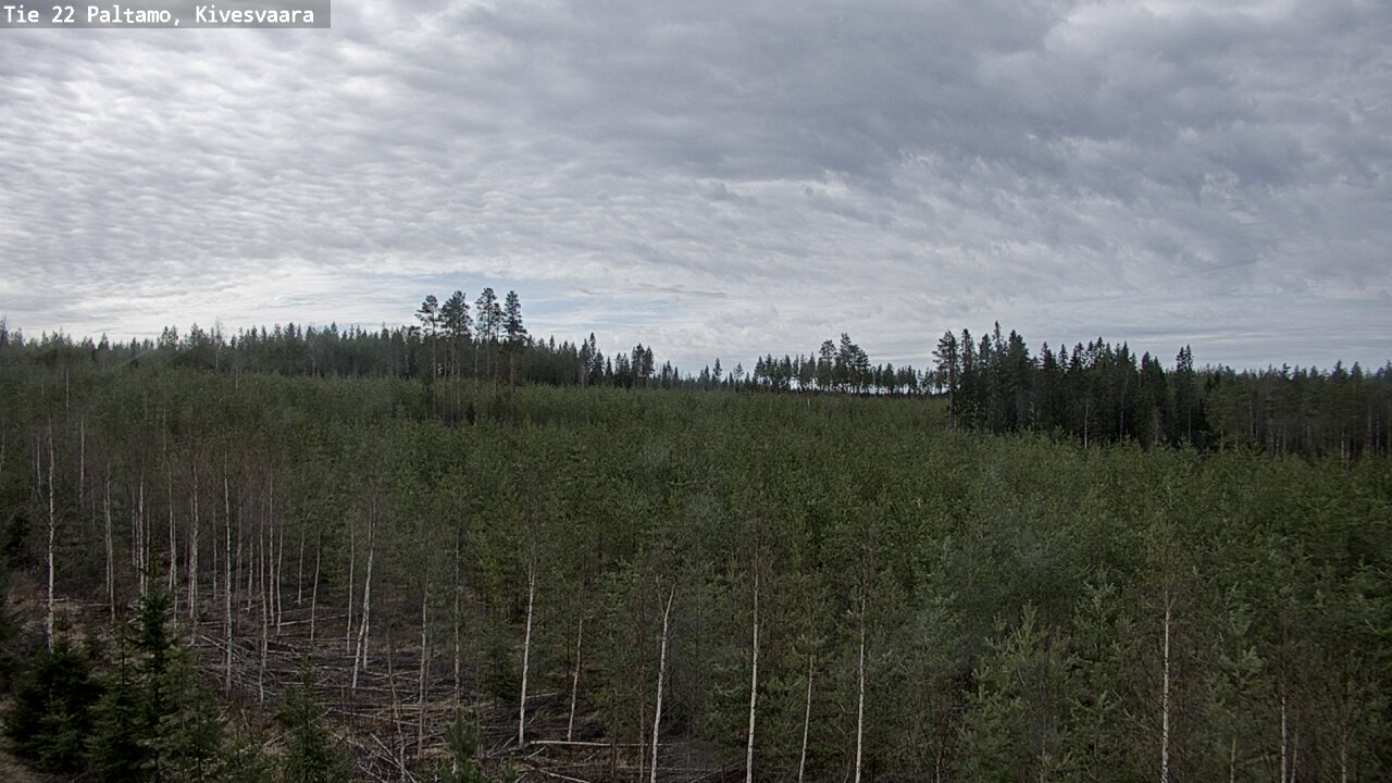 Weather Camera Image Väg 22 Paltamo, Kivesvaara, Paltamo, Kainuu