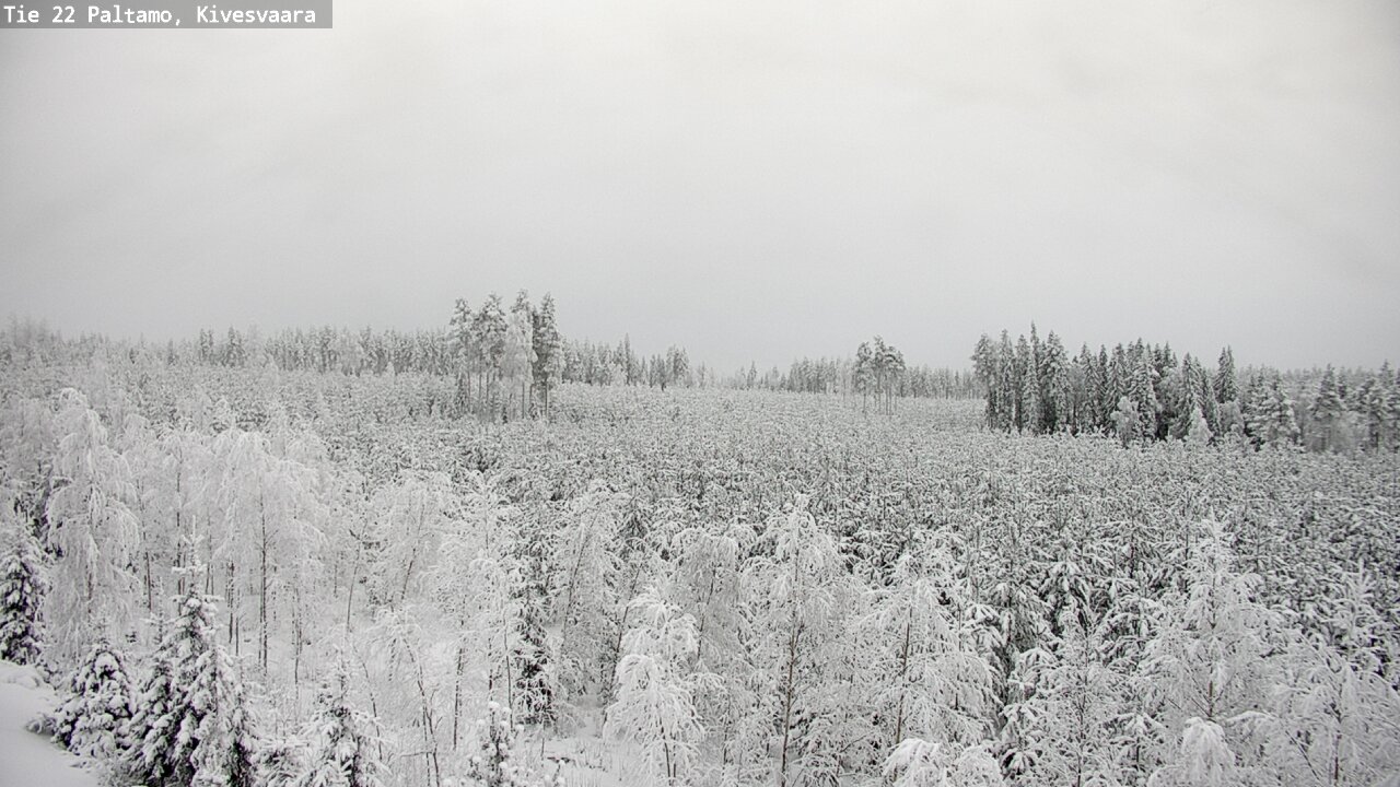 Kelikamerat Kuva Tie 22 Paltamo, Kivesvaara, Paltamo, Kainuu