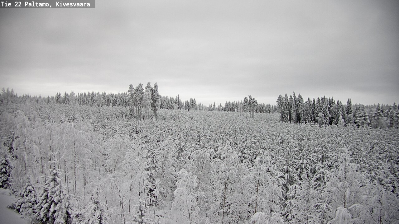 Kelikamerat Kuva Tie 22 Paltamo, Kivesvaara, Paltamo, Kainuu