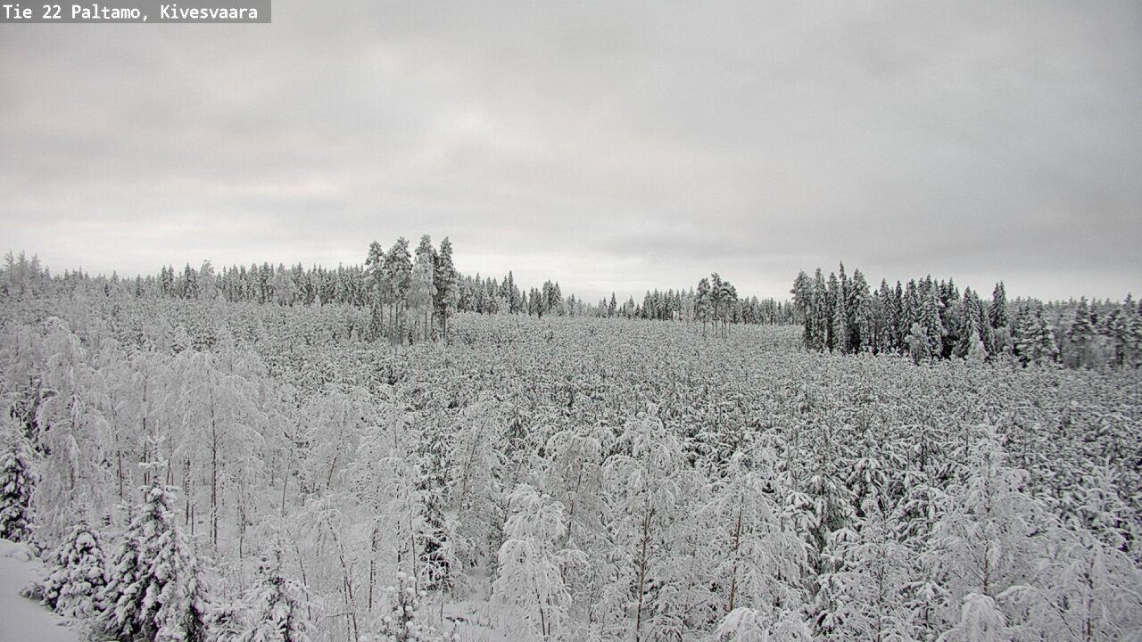 Kelikamerat Kuva Tie 22 Paltamo, Kivesvaara, Paltamo, Kainuu