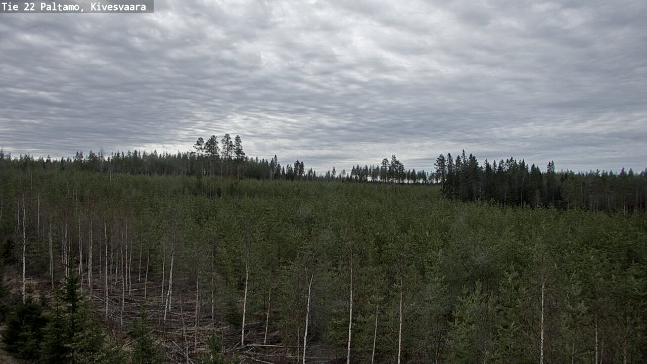 Weather Camera Image Väg 22 Paltamo, Kivesvaara, Paltamo, Kainuu