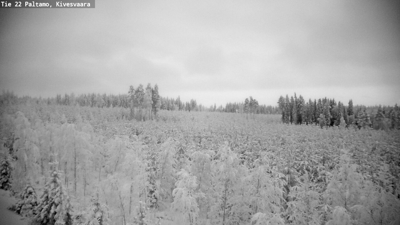 Kelikamerat Kuva Tie 22 Paltamo, Kivesvaara, Paltamo, Kainuu