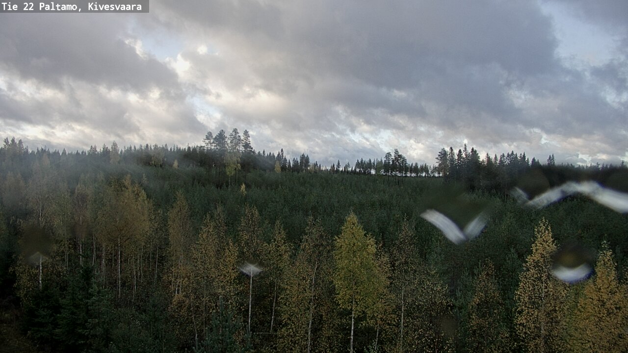 Weather Camera Image Road 22 Paltamo, Kivesvaara, Paltamo, Kainuu
