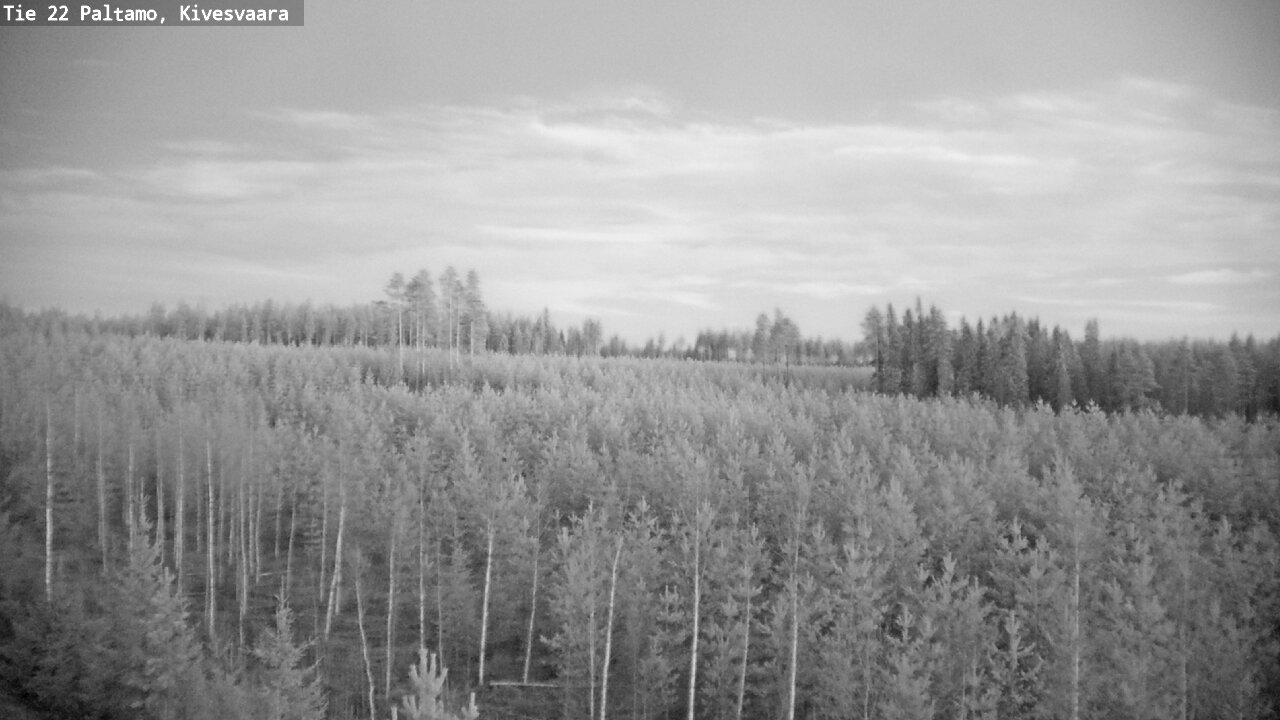 Weather Camera Image Road 22 Paltamo, Kivesvaara, Paltamo, Kainuu