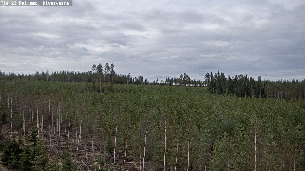 Weather Camera Image Väg 22 Paltamo, Kivesvaara, Paltamo, Kainuu