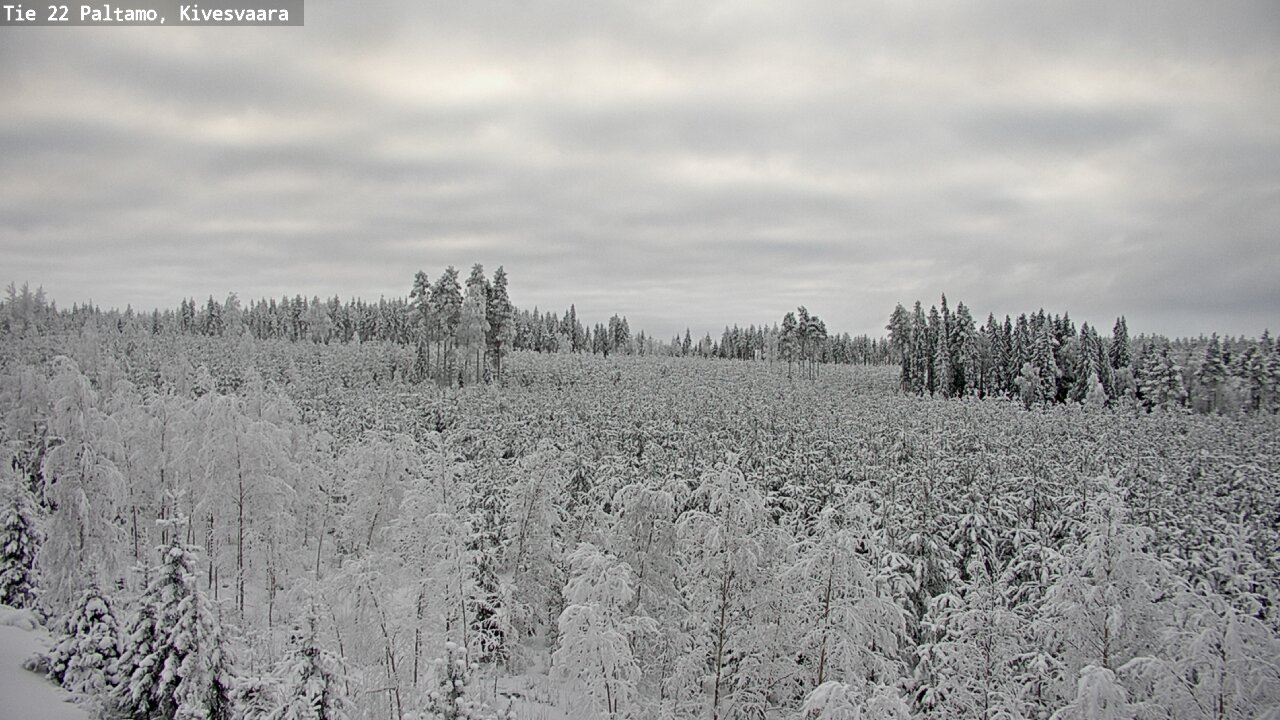 Weather Camera Image Road 22 Paltamo, Kivesvaara, Paltamo, Kainuu