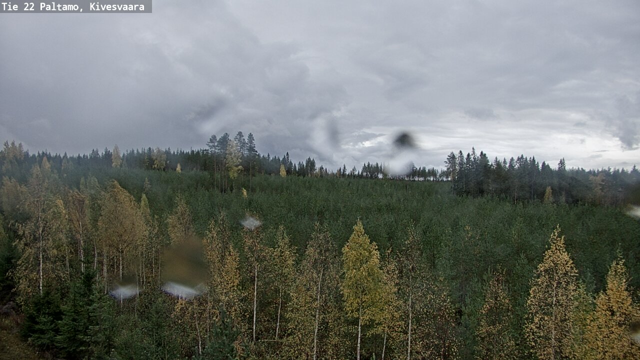 Weather Camera Image Road 22 Paltamo, Kivesvaara, Paltamo, Kainuu