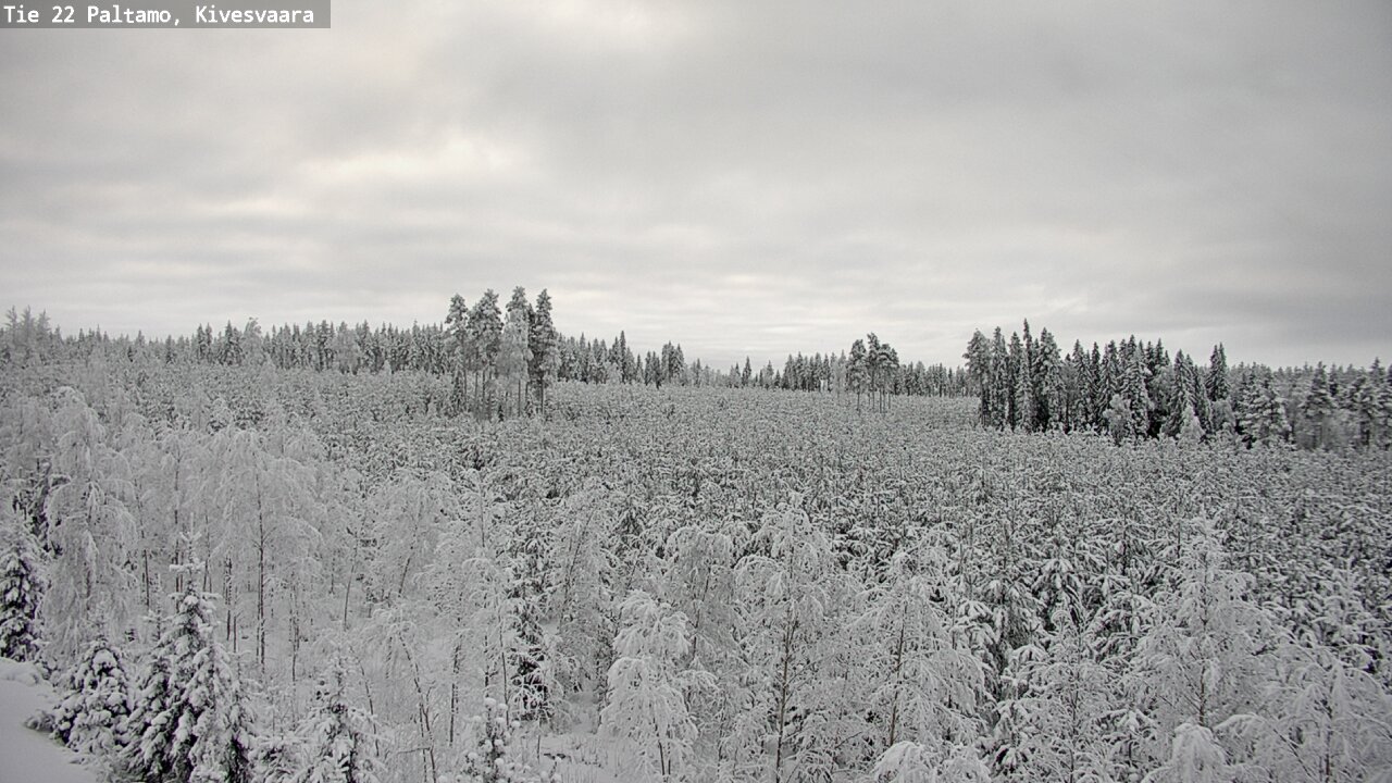 Kelikamerat Kuva Tie 22 Paltamo, Kivesvaara, Paltamo, Kainuu