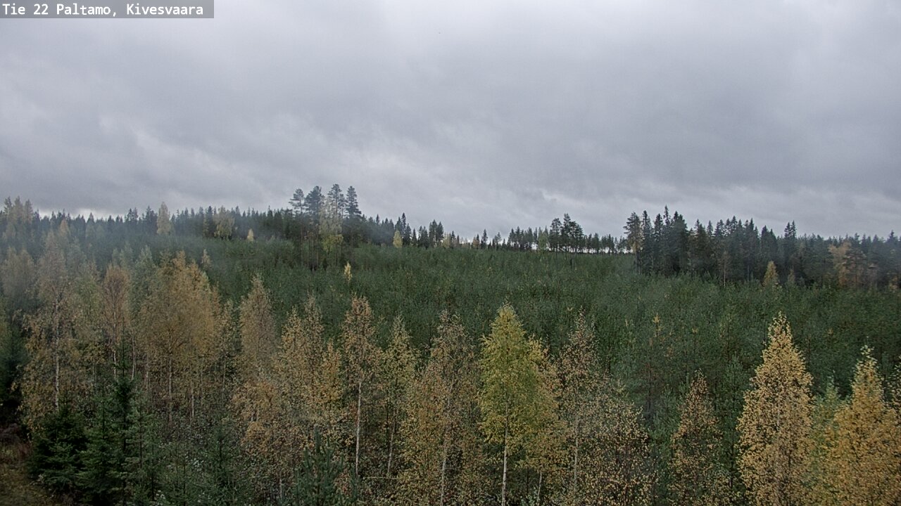 Kelikamerat Kuva Tie 22 Paltamo, Kivesvaara, Paltamo, Kainuu
