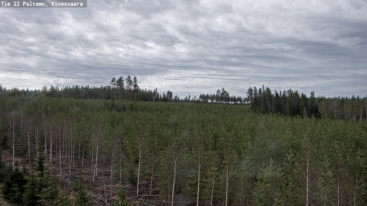 Weather Camera Image Väg 22 Paltamo, Kivesvaara, Paltamo, Kainuu