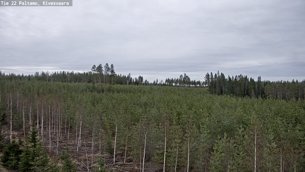 Weather Camera Image Väg 22 Paltamo, Kivesvaara, Paltamo, Kainuu