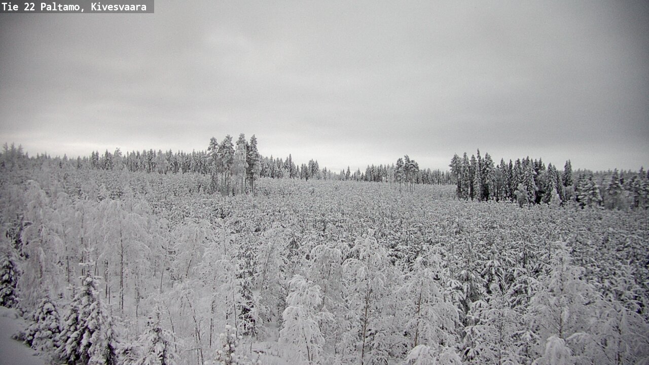 Kelikamerat Kuva Tie 22 Paltamo, Kivesvaara, Paltamo, Kainuu