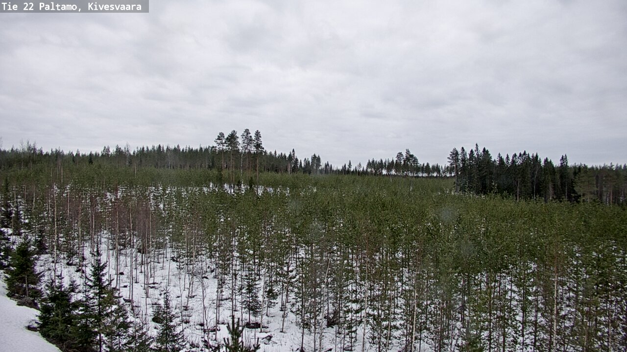 Weather Camera Image Road 22 Paltamo, Kivesvaara, Paltamo, Kainuu