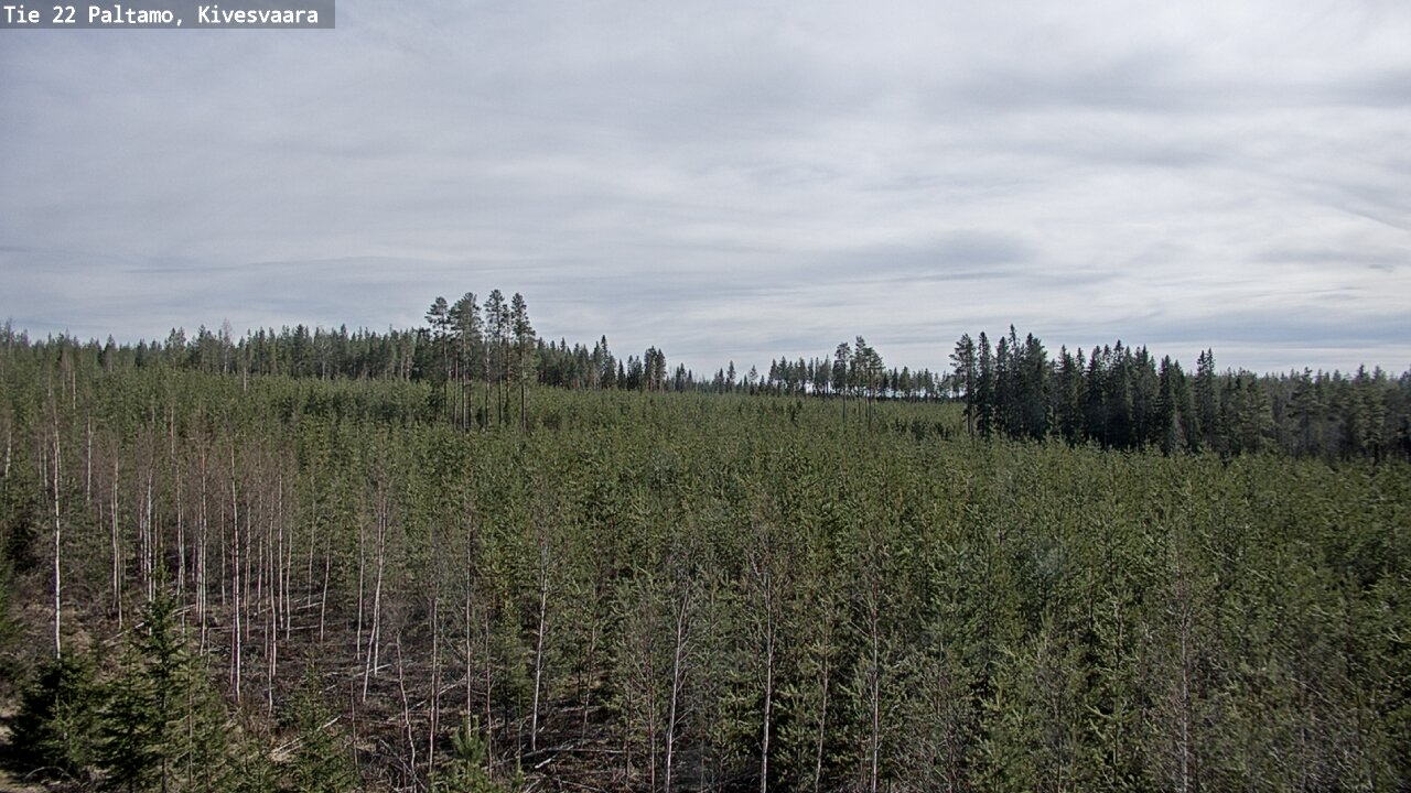 Weather Camera Image Road 22 Paltamo, Kivesvaara, Paltamo, Kainuu