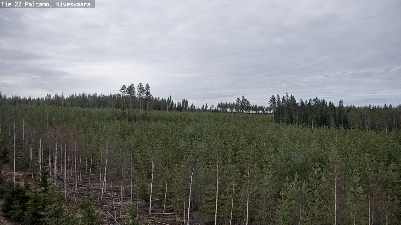 Weather Camera Image Väg 22 Paltamo, Kivesvaara, Paltamo, Kainuu
