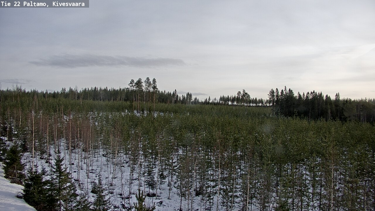 Kelikamerat Kuva Tie 22 Paltamo, Kivesvaara, Paltamo, Kainuu