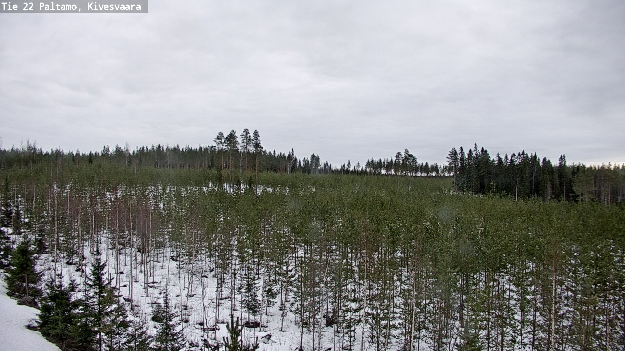 Weather Camera Image Road 22 Paltamo, Kivesvaara, Paltamo, Kainuu