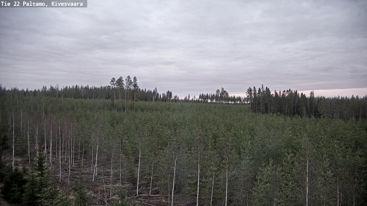 Weather Camera Image Road 22 Paltamo, Kivesvaara, Paltamo, Kainuu