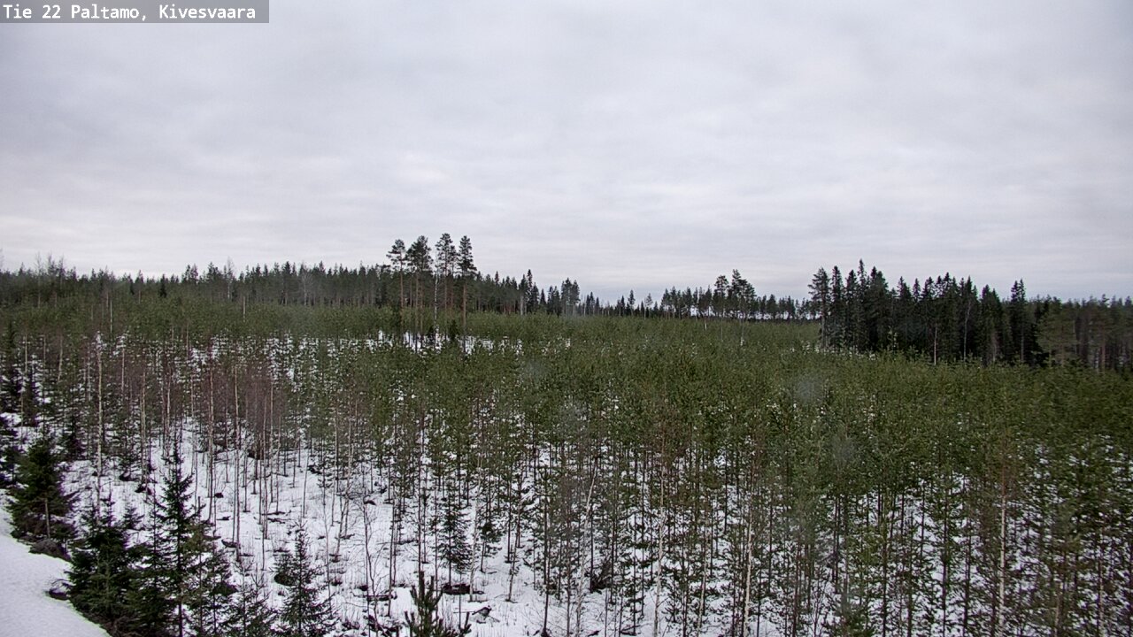 Kelikamerat Kuva Tie 22 Paltamo, Kivesvaara, Paltamo, Kainuu