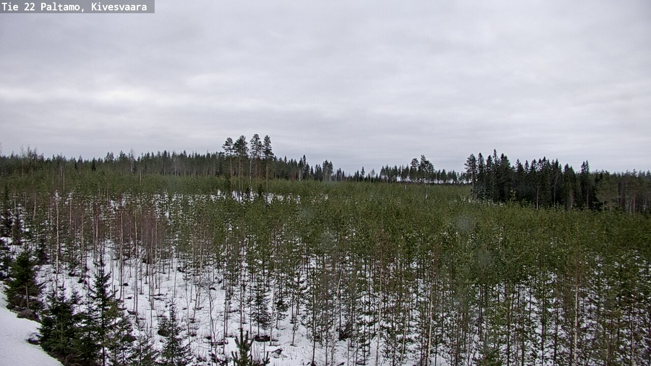 Kelikamerat Kuva Tie 22 Paltamo, Kivesvaara, Paltamo, Kainuu