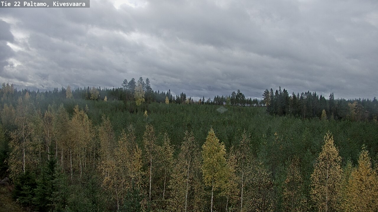 Weather Camera Image Road 22 Paltamo, Kivesvaara, Paltamo, Kainuu