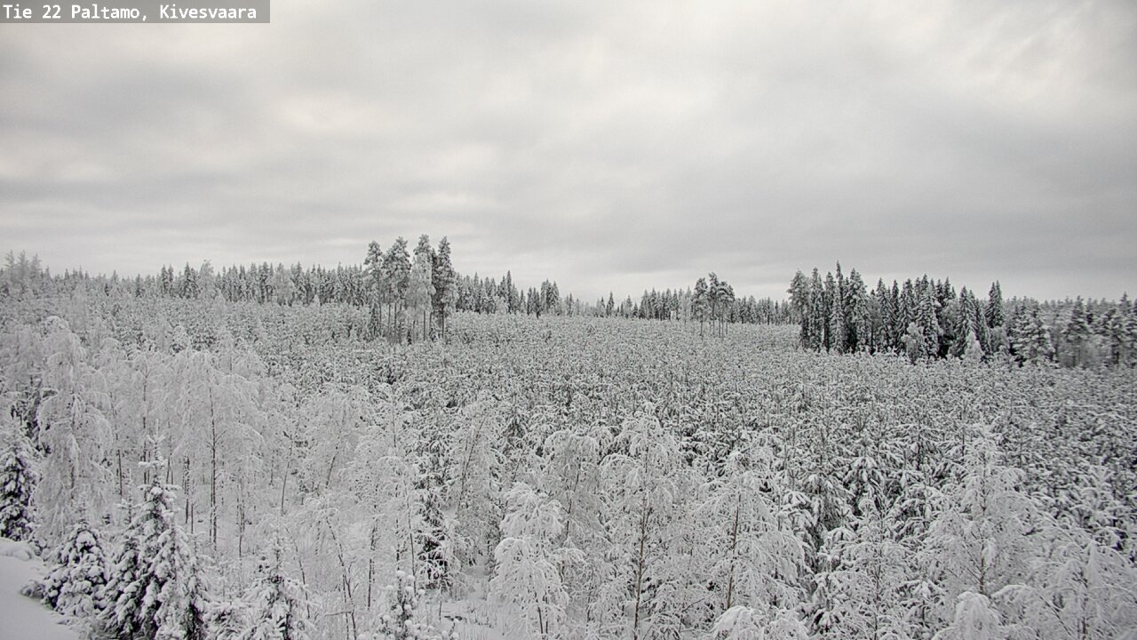 Weather Camera Image Road 22 Paltamo, Kivesvaara, Paltamo, Kainuu