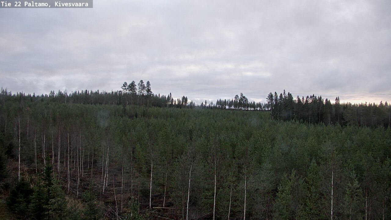 Kelikamerat Kuva Tie 22 Paltamo, Kivesvaara, Paltamo, Kainuu