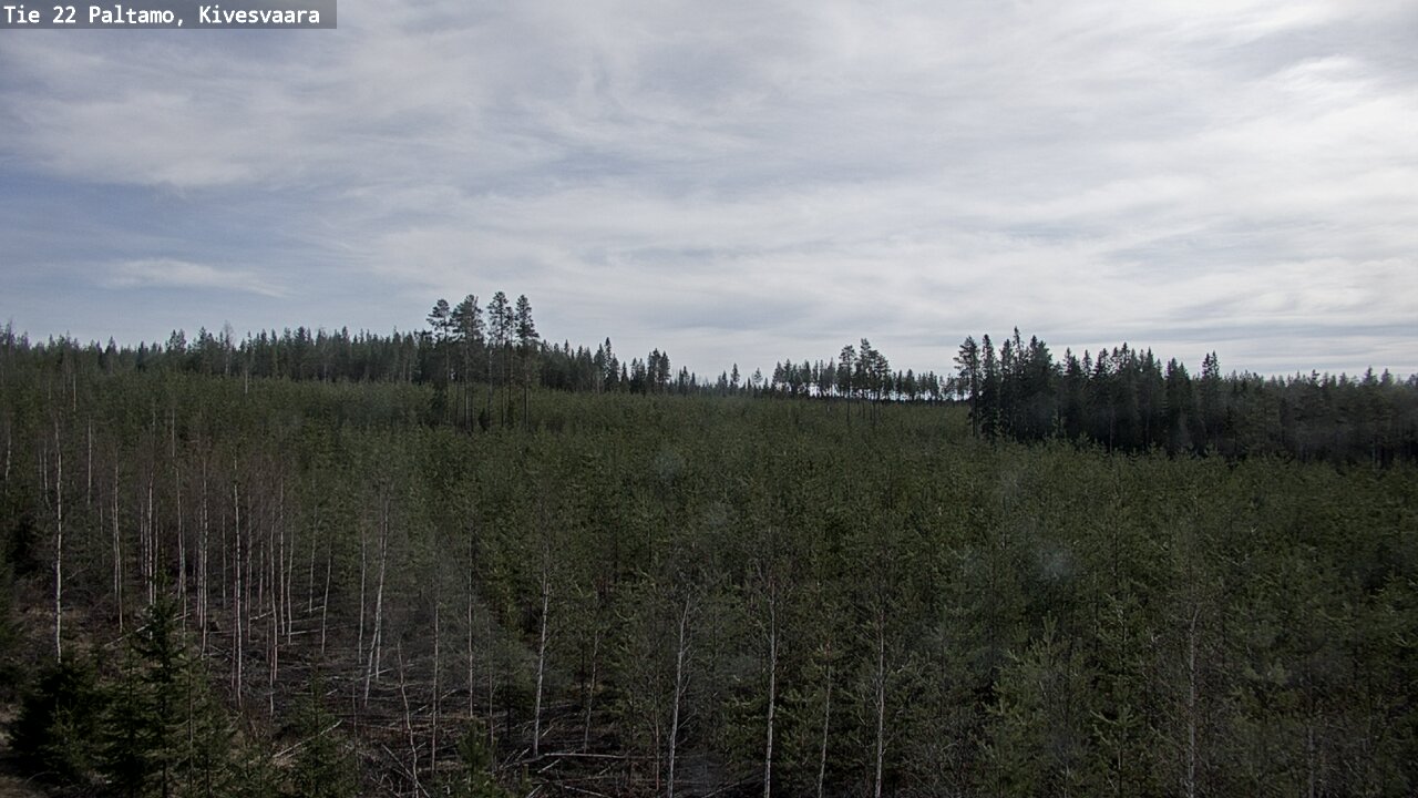 Weather Camera Image Road 22 Paltamo, Kivesvaara, Paltamo, Kainuu