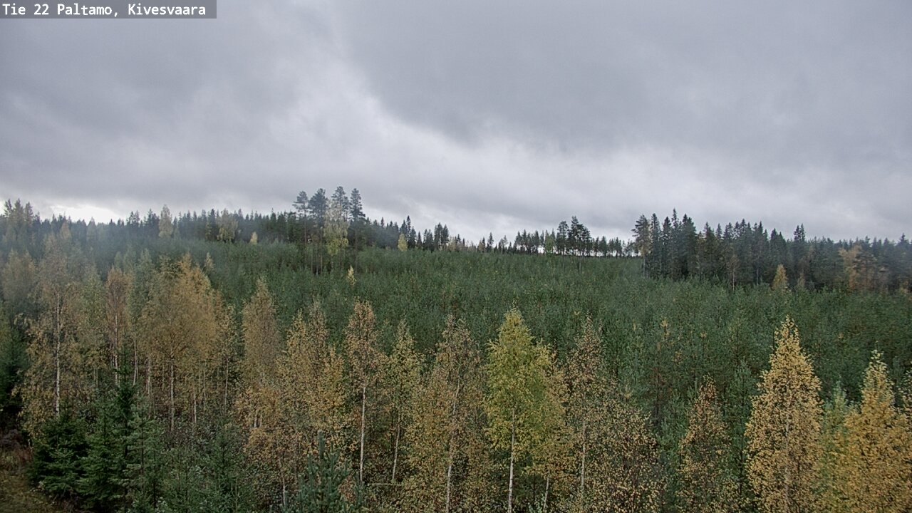 Kelikamerat Kuva Tie 22 Paltamo, Kivesvaara, Paltamo, Kainuu