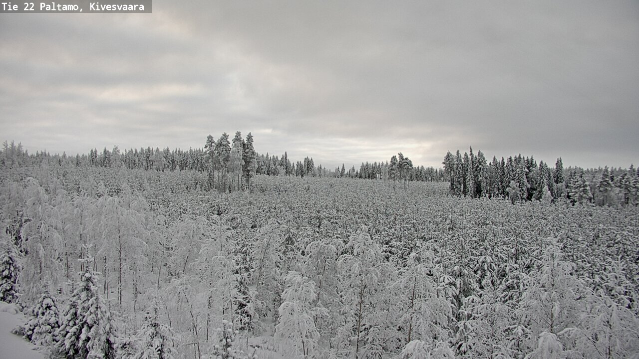 Kelikamerat Kuva Tie 22 Paltamo, Kivesvaara, Paltamo, Kainuu