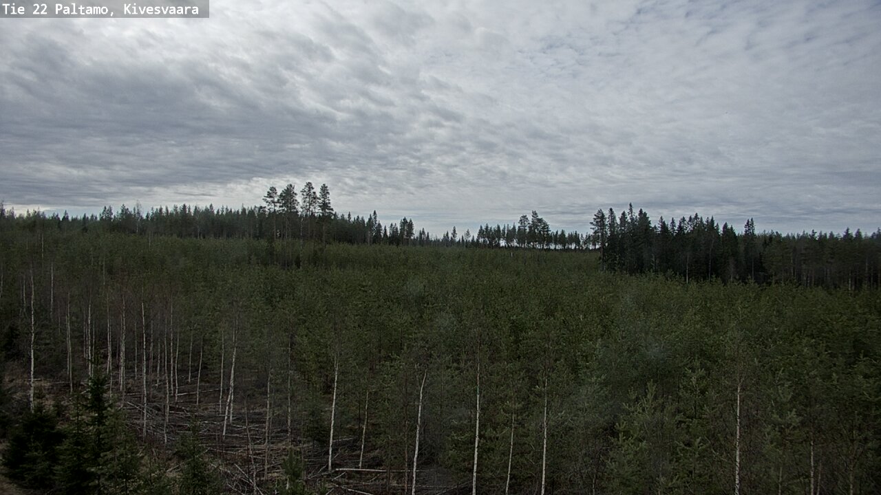 Weather Camera Image Väg 22 Paltamo, Kivesvaara, Paltamo, Kainuu