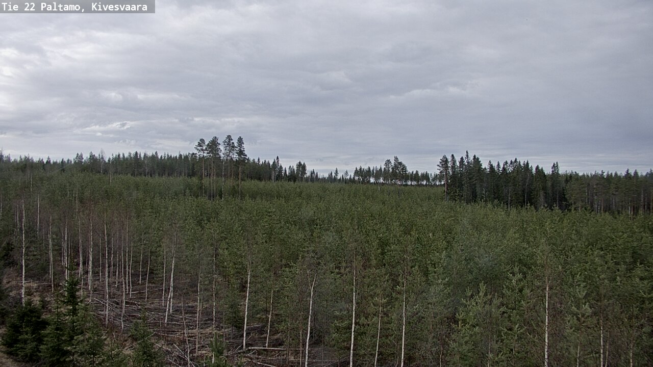 Weather Camera Image Väg 22 Paltamo, Kivesvaara, Paltamo, Kainuu