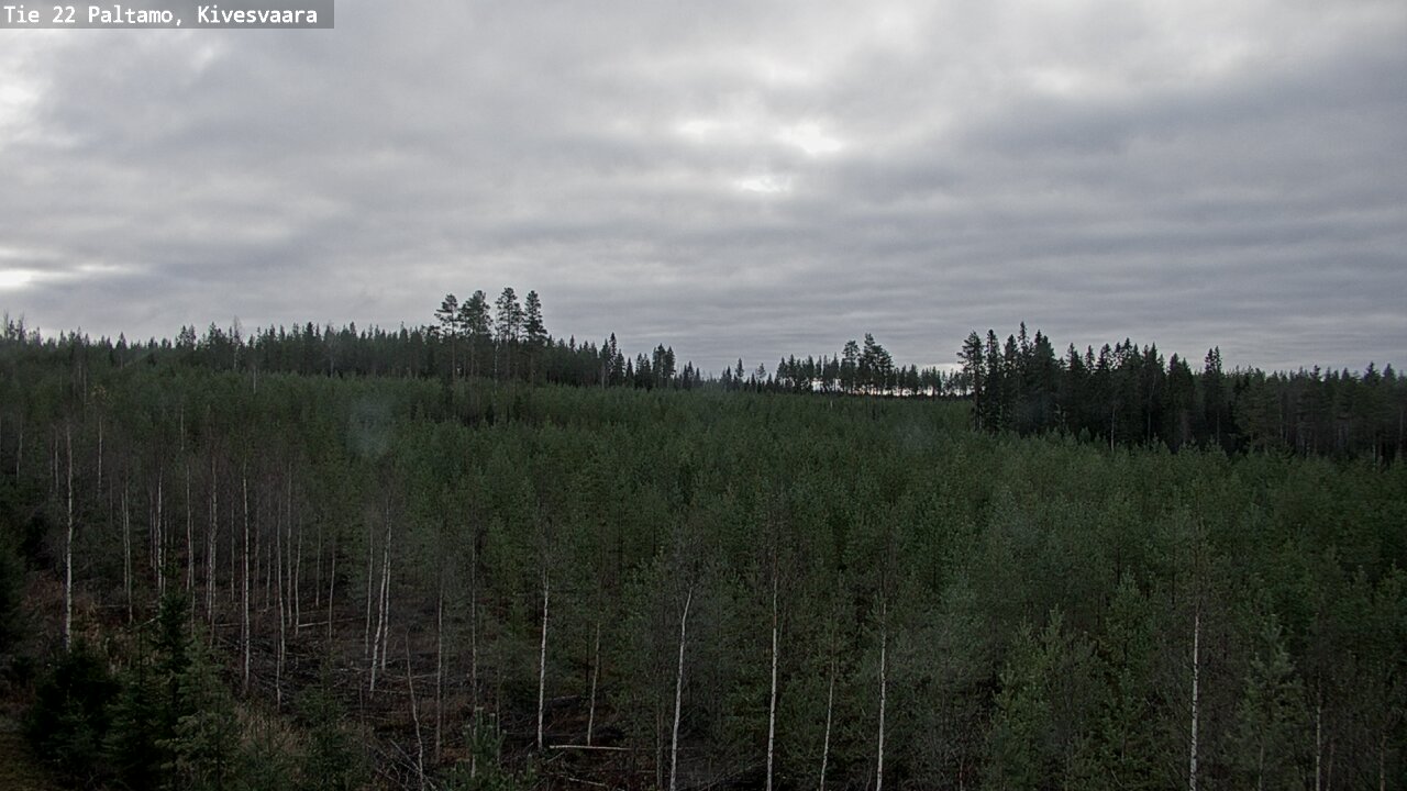 Kelikamerat Kuva Tie 22 Paltamo, Kivesvaara, Paltamo, Kainuu