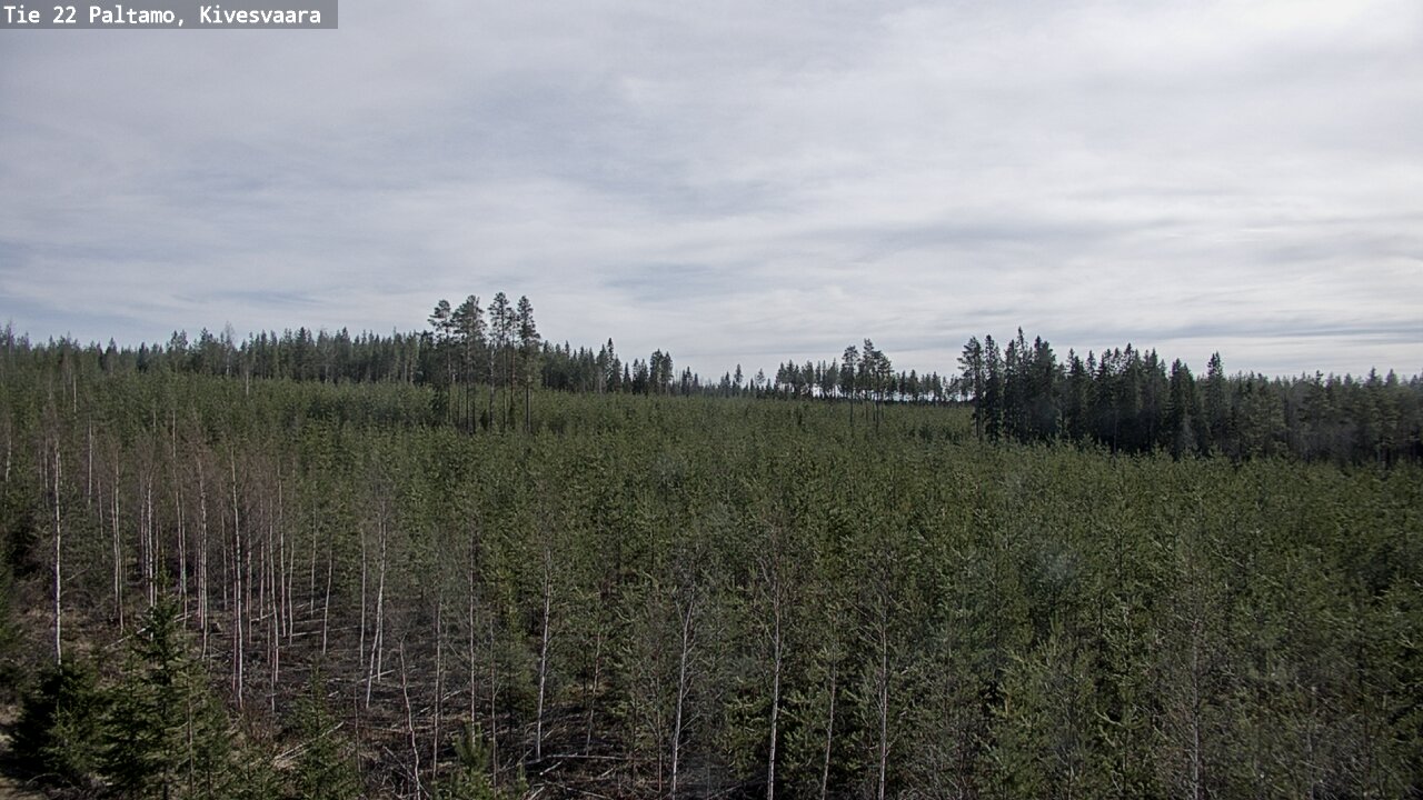 Weather Camera Image Road 22 Paltamo, Kivesvaara, Paltamo, Kainuu