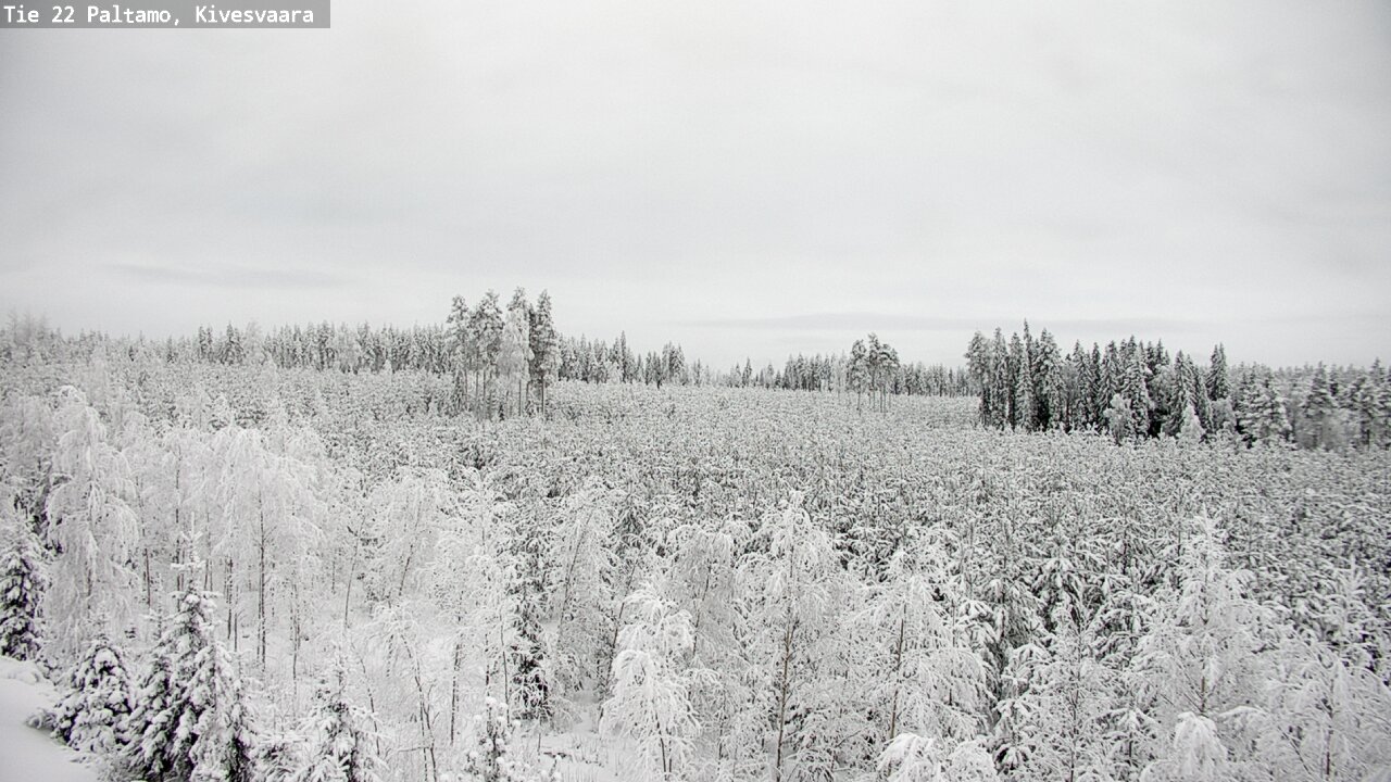 Kelikamerat Kuva Tie 22 Paltamo, Kivesvaara, Paltamo, Kainuu
