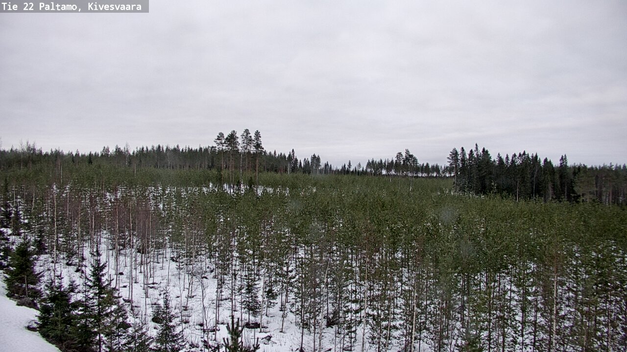 Kelikamerat Kuva Tie 22 Paltamo, Kivesvaara, Paltamo, Kainuu