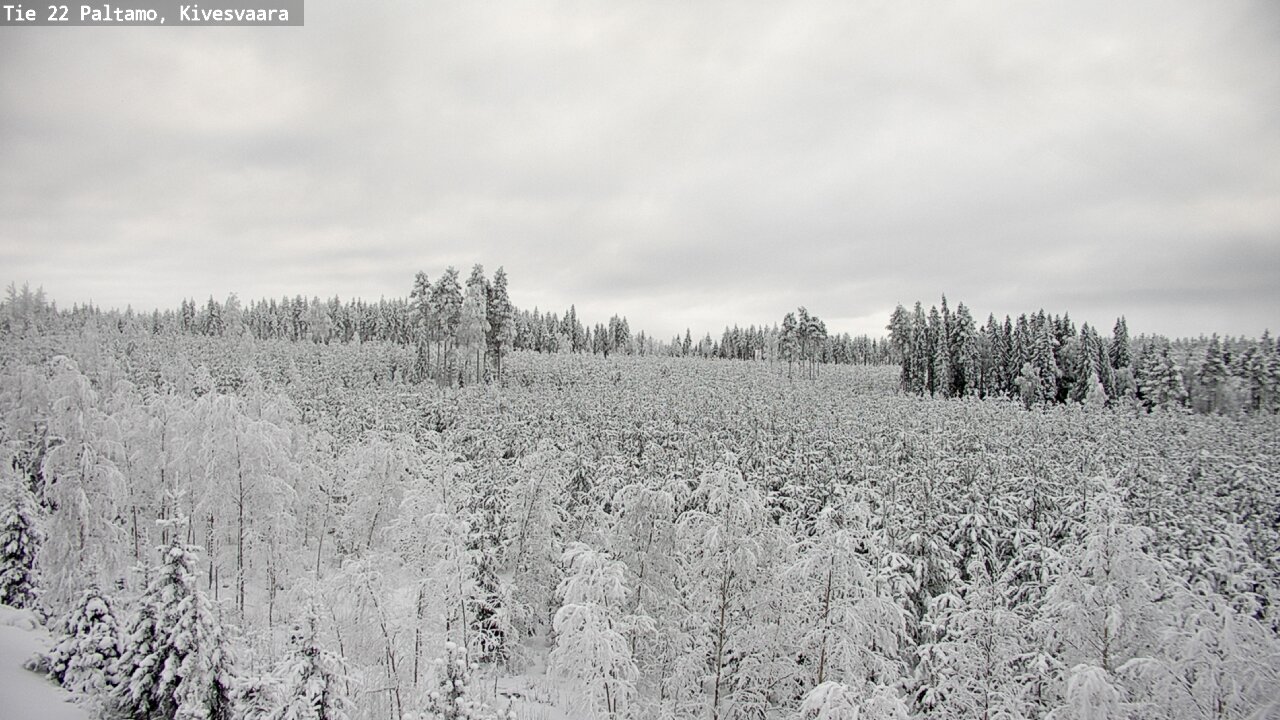 Weather Camera Image Road 22 Paltamo, Kivesvaara, Paltamo, Kainuu