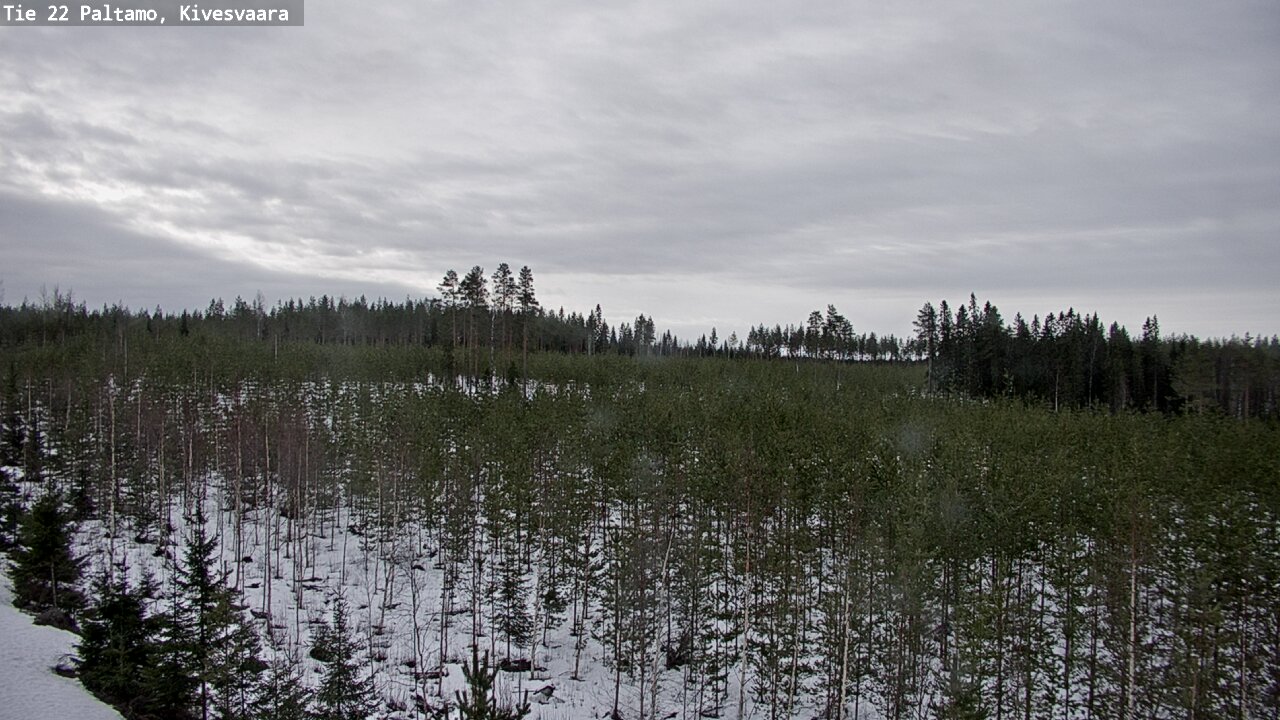 Weather Camera Image Väg 22 Paltamo, Kivesvaara, Paltamo, Kainuu