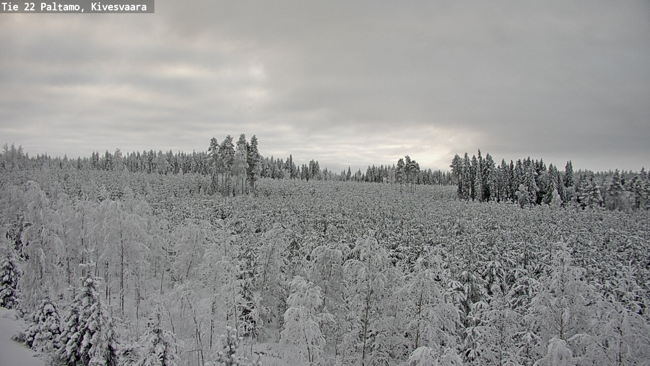 Kelikamerat Kuva Tie 22 Paltamo, Kivesvaara, Paltamo, Kainuu