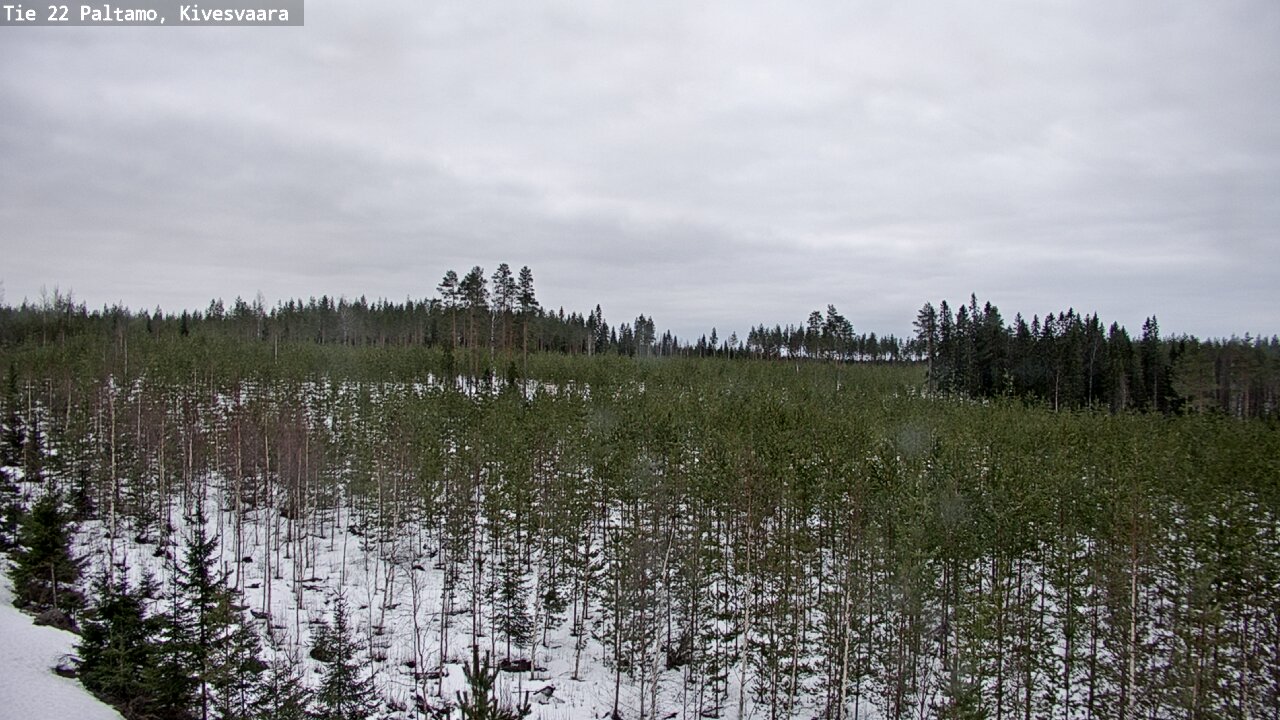 Kelikamerat Kuva Tie 22 Paltamo, Kivesvaara, Paltamo, Kainuu