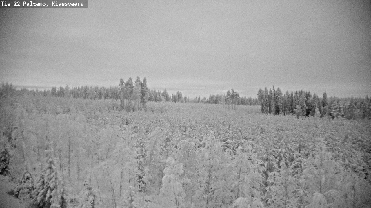 Kelikamerat Kuva Tie 22 Paltamo, Kivesvaara, Paltamo, Kainuu