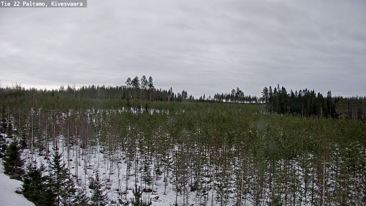 Weather Camera Image Road 22 Paltamo, Kivesvaara, Paltamo, Kainuu