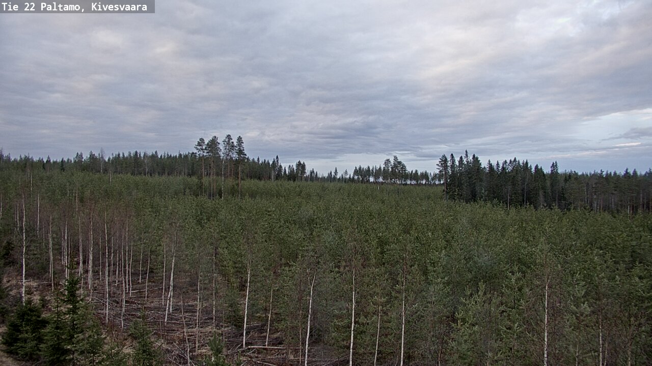 Weather Camera Image Road 22 Paltamo, Kivesvaara, Paltamo, Kainuu