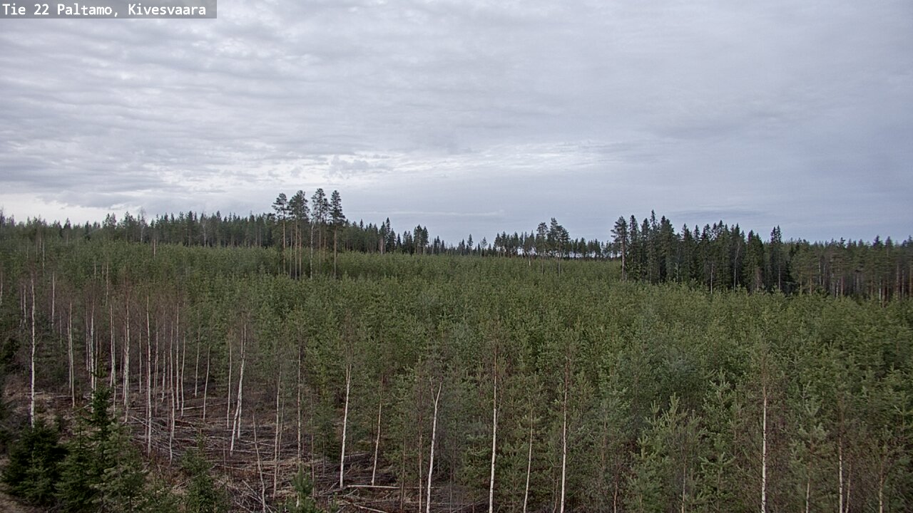 Weather Camera Image Road 22 Paltamo, Kivesvaara, Paltamo, Kainuu