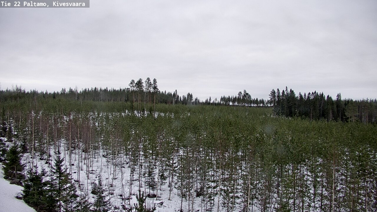 Kelikamerat Kuva Tie 22 Paltamo, Kivesvaara, Paltamo, Kainuu